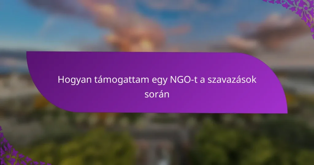 Hogyan támogattam egy NGO-t a szavazások során