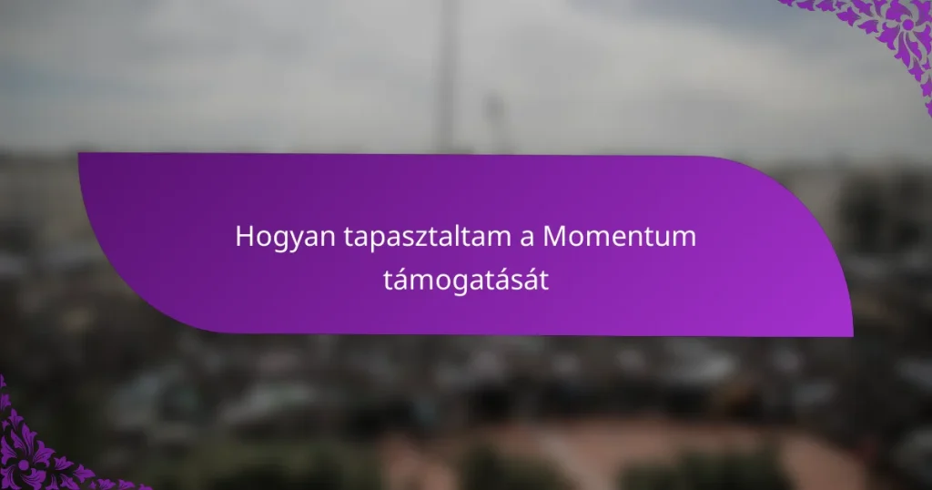 Hogyan tapasztaltam a Momentum támogatását