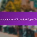 Tapasztalataim a Városvédő Egyesülettel